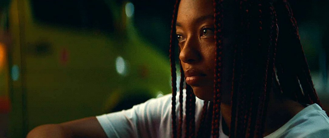 Photo du film Le Protecteur