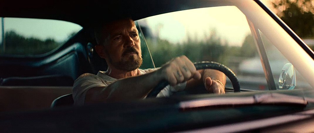 Photo du film Le Protecteur