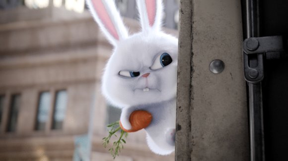 Photo from the movie The Secret Life of Pets
