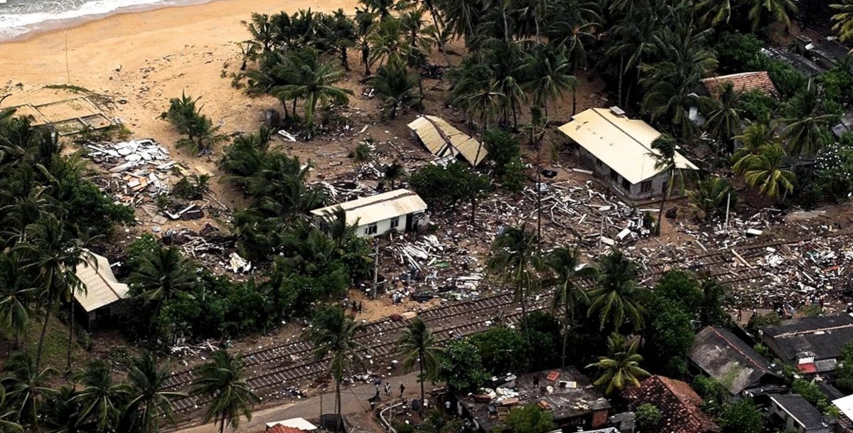 Photo du film Tsunami: Race Against Time [2024]