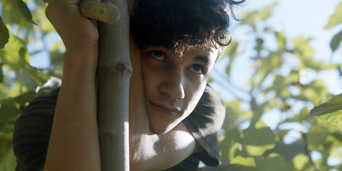 Photo from the movie Sous les figues [2021]
