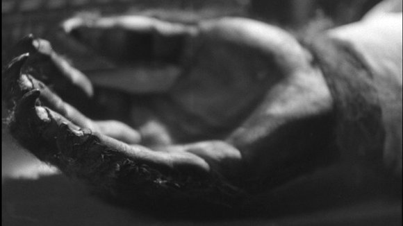 Photo du film Beauty and the Beast