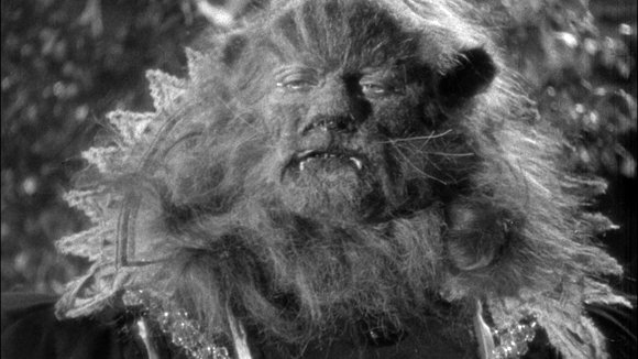 Photo du film Beauty and the Beast