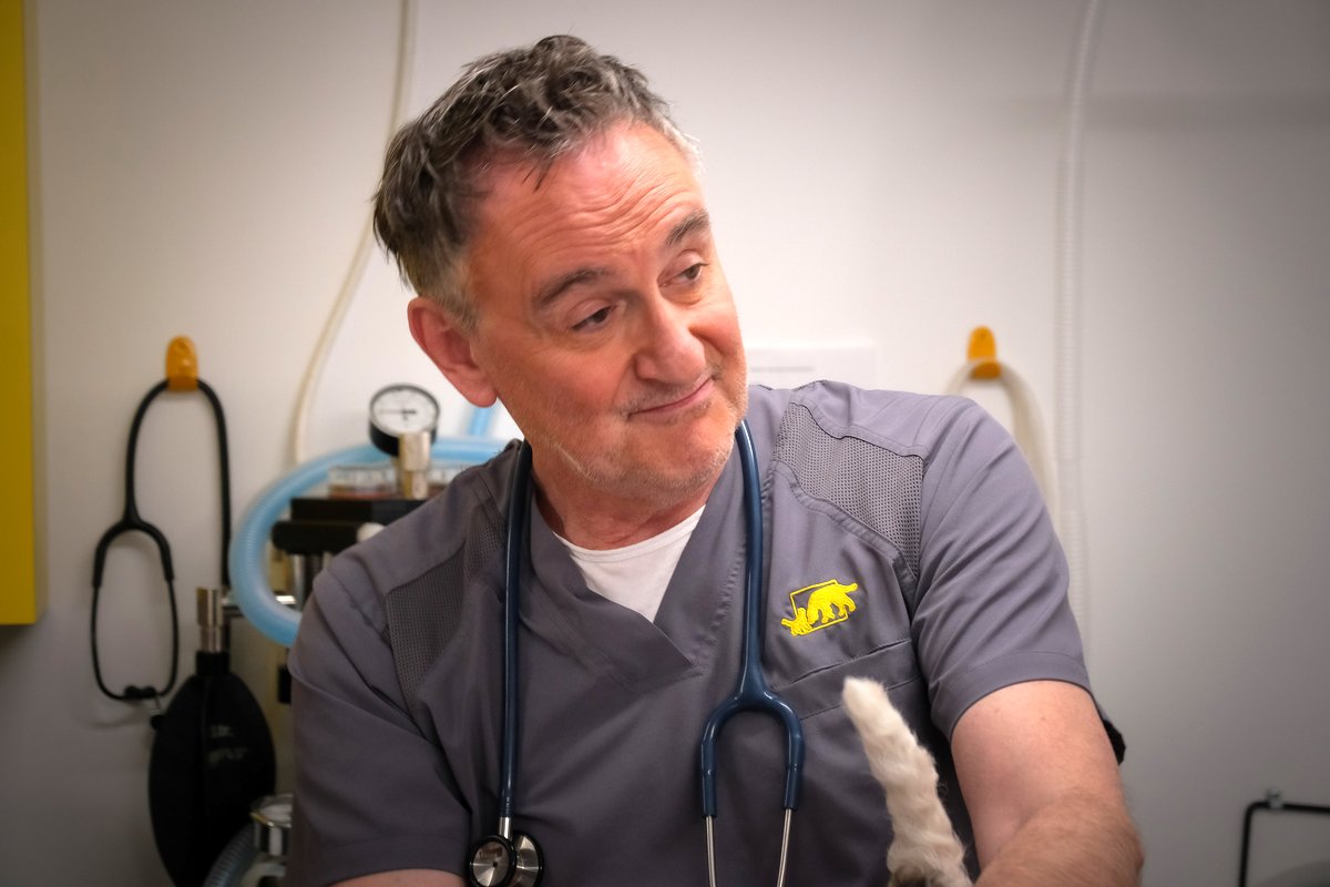 Photo du film Les 12 travaux d'Imelda