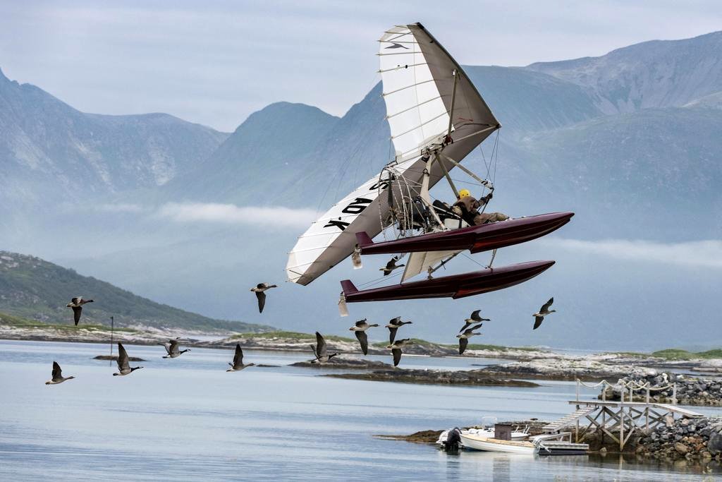 Photo du film Spread Your Wings