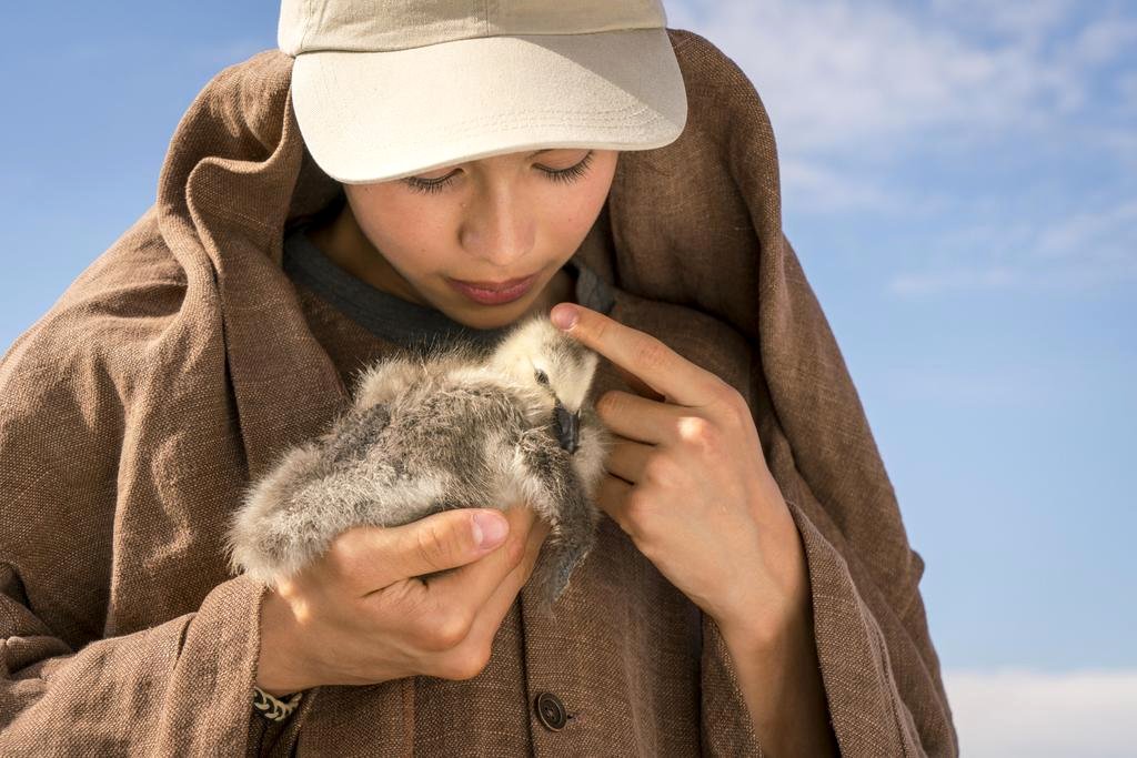 Photo du film Spread Your Wings