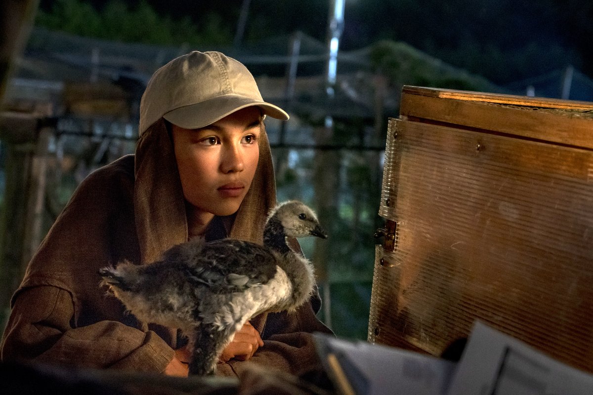 Photo du film Spread Your Wings