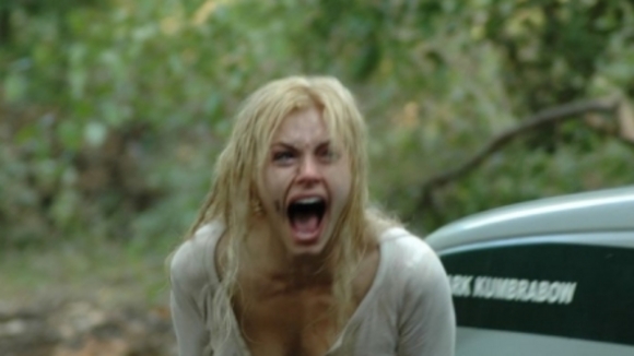 Photo du film Timber Falls