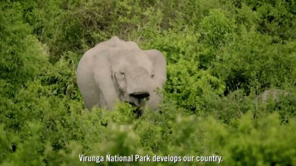 Photo from the movie Virunga