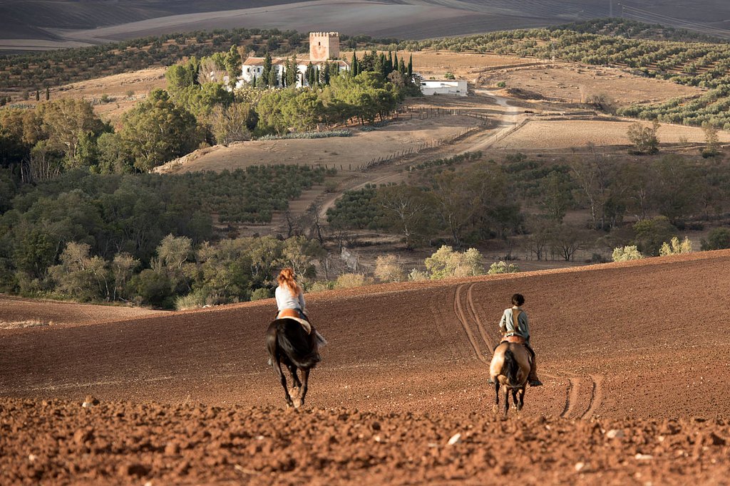 Photo du film Windstorm and the Wild Horses [2017]