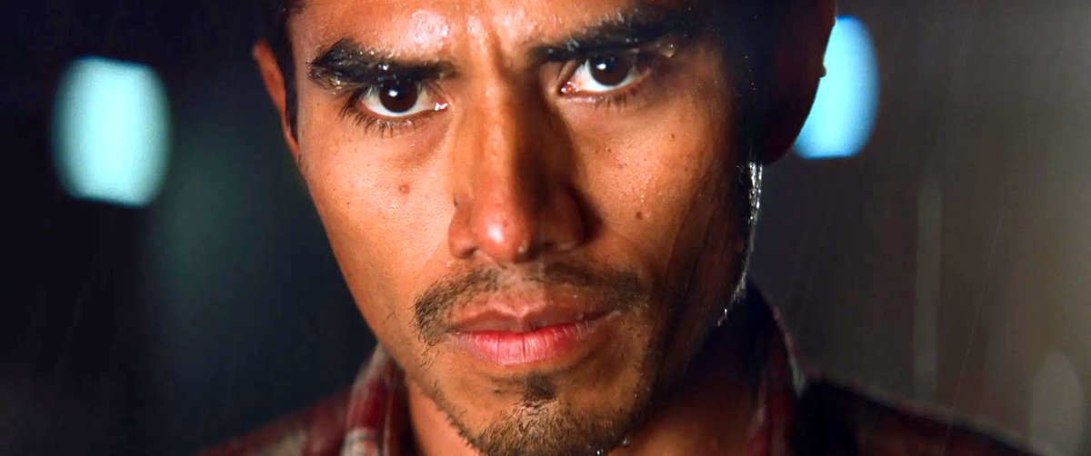 Photo du film Les oiseaux ivres