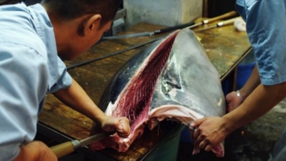 Photo du film Jiro rêve de sushi [2011]