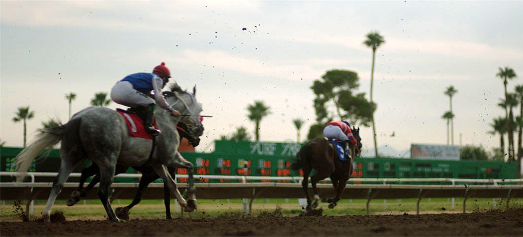 Photo from the movie Jockey [2021]