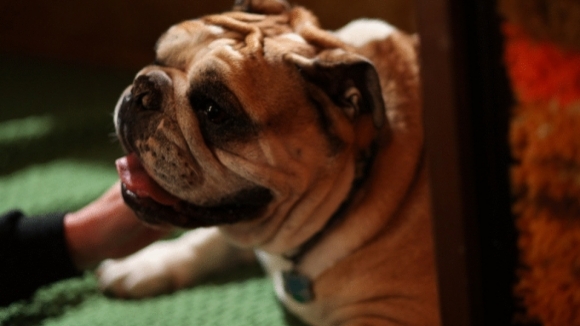 Photo from the movie Mickey Matson and the Copperhead Conspiracy