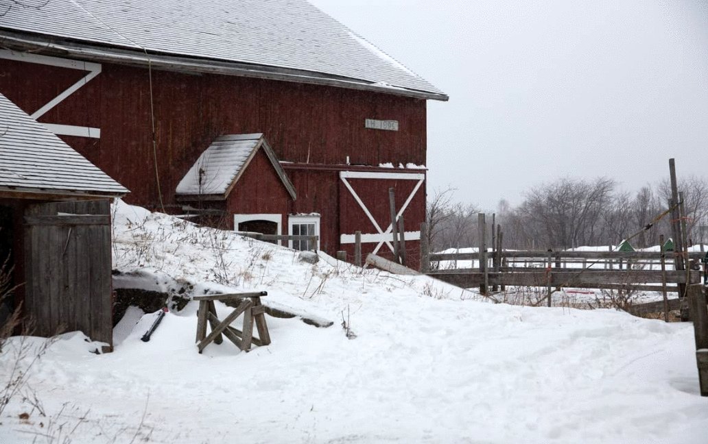 Photo du film The Act of Beauty [2021]