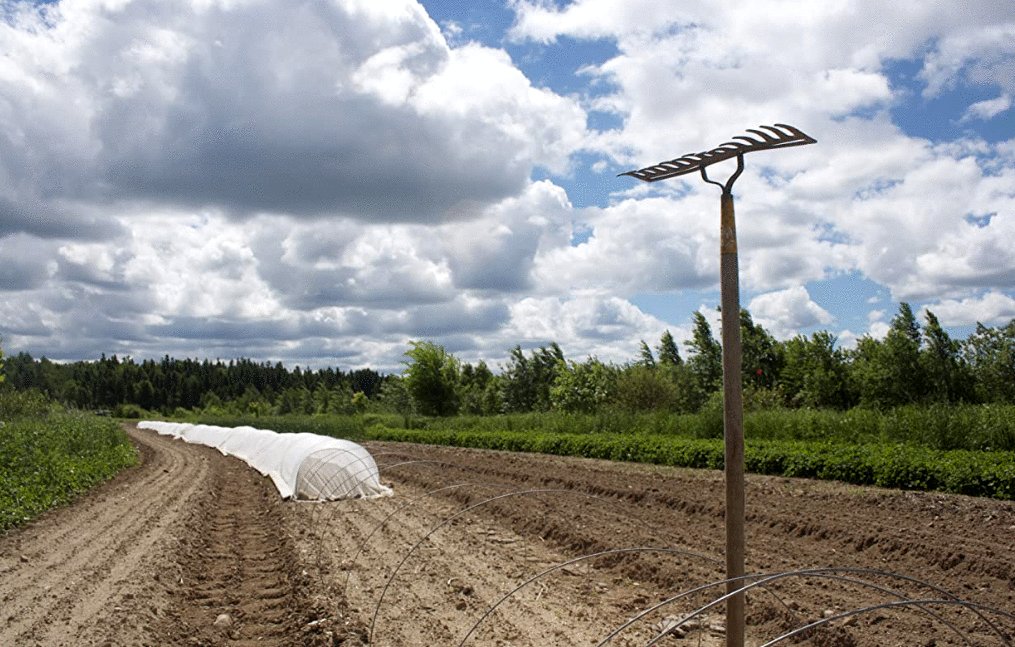 Photo du film The Act of Beauty [2021]