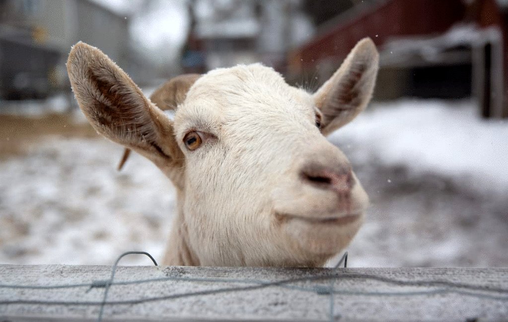 Photo du film The Act of Beauty [2021]