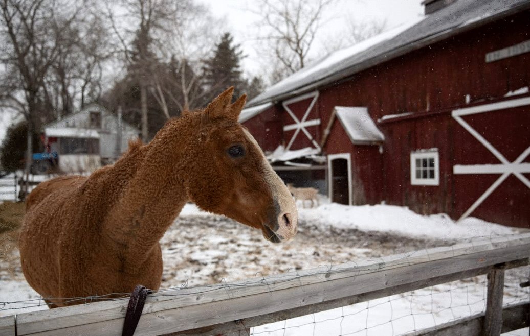 Photo du film The Act of Beauty [2021]