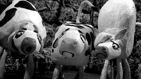 Photo du film Les 18 fugitives