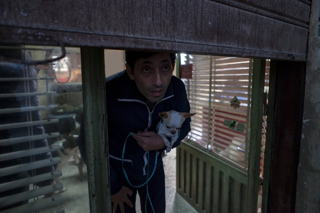 Photo du film Dogman [2018]