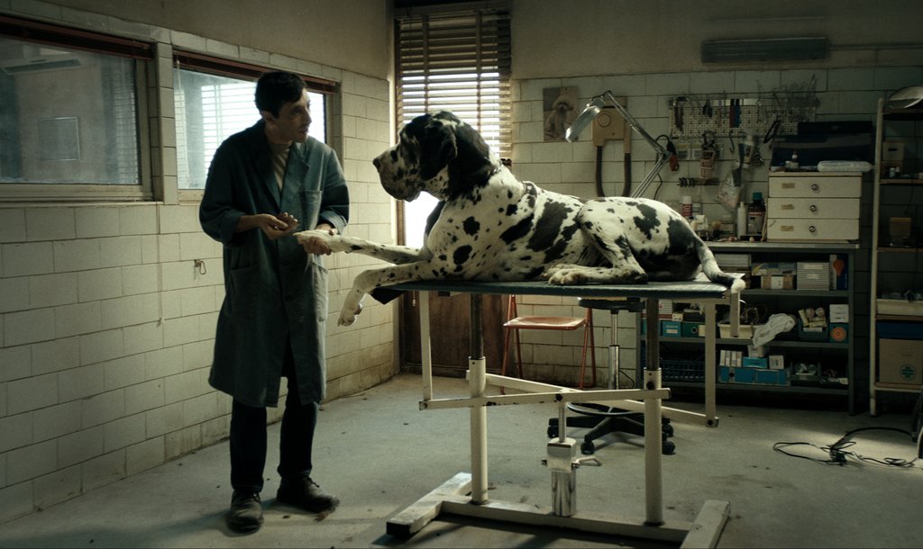 Photo du film Dogman [2018]
