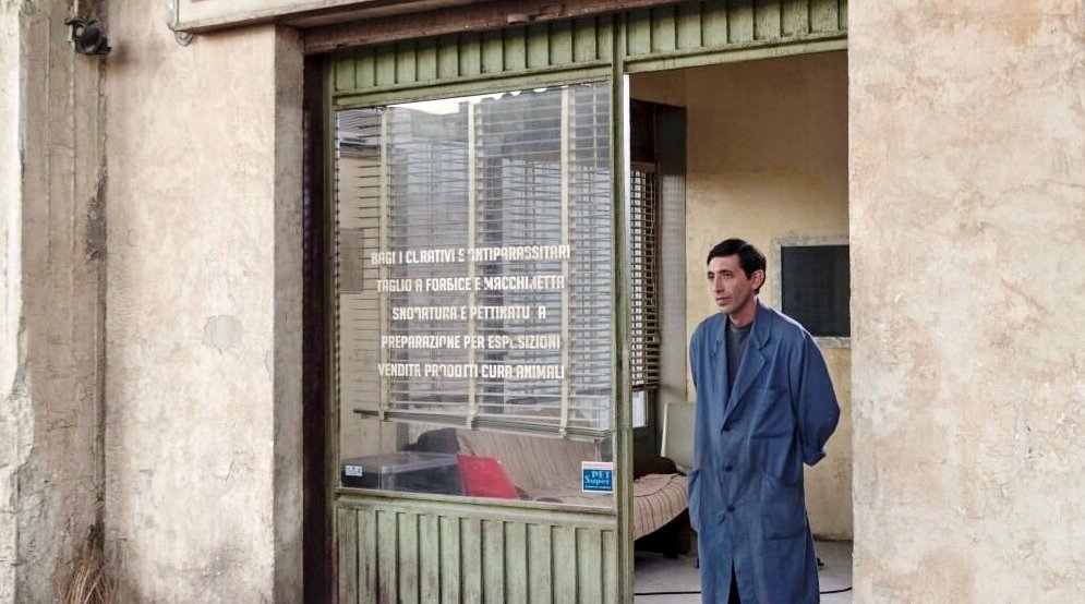 Photo du film Dogman [2018]