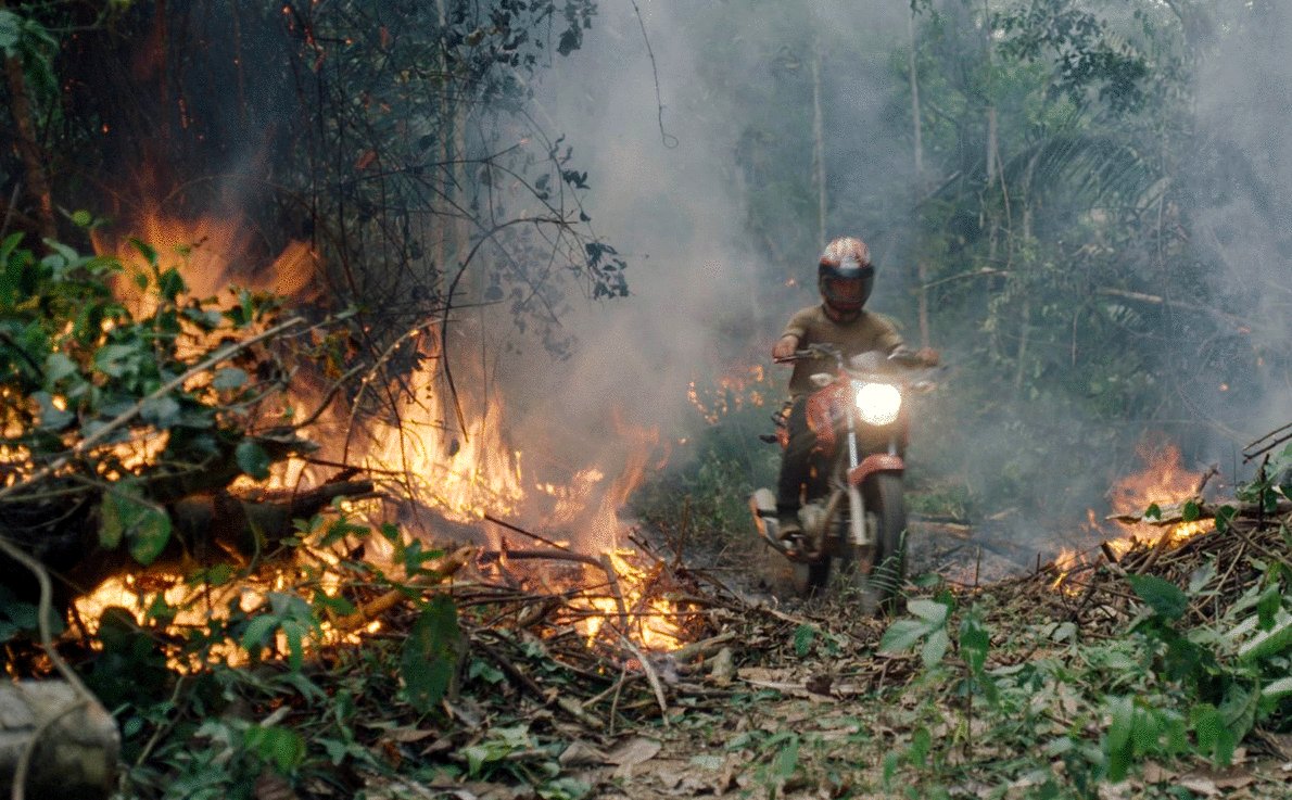 Photo du film The Territory