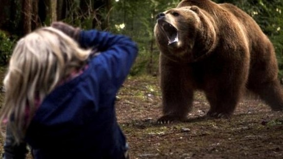 Photo du film Into the Grizzly Maze