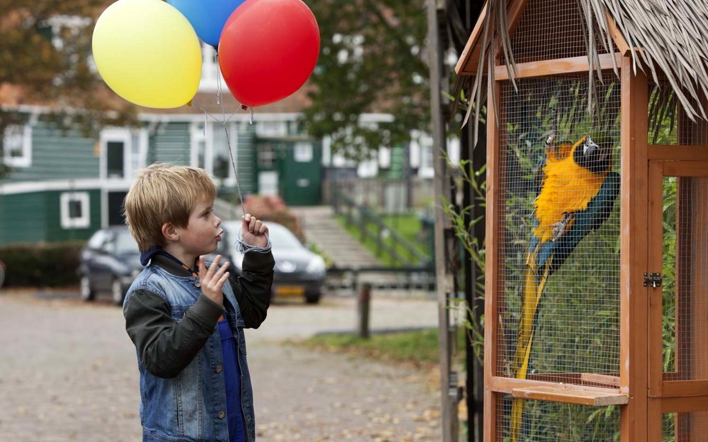 Photo from the movie My Giraffe [2017]