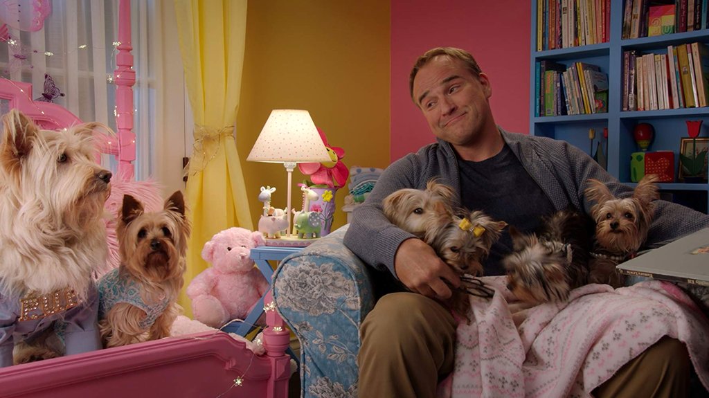 Photo du film Puppy Star Christmas [2018]