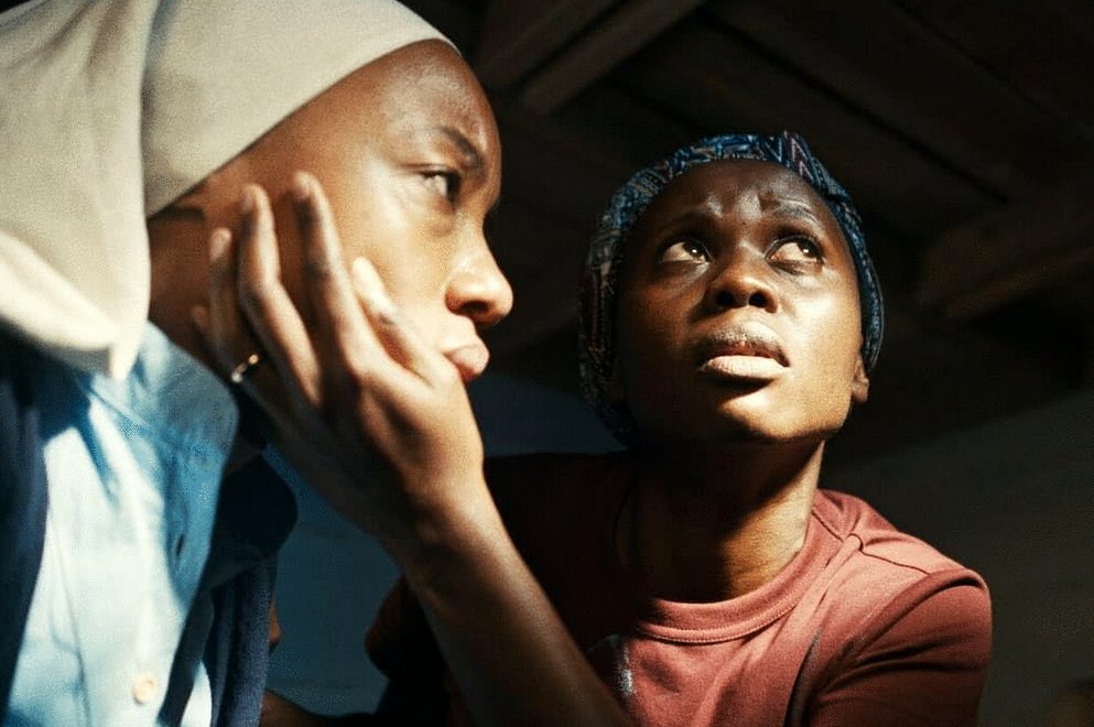 Photo du film Trees of Peace [2021]