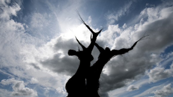 Photo du film The Wicker Tree