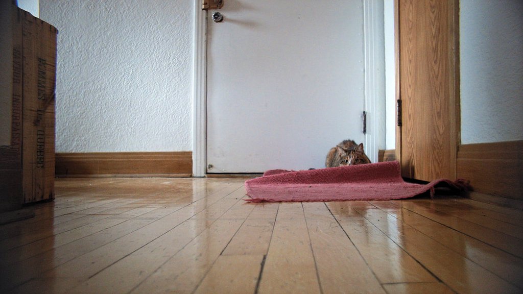 Photo from the movie Winter Claire