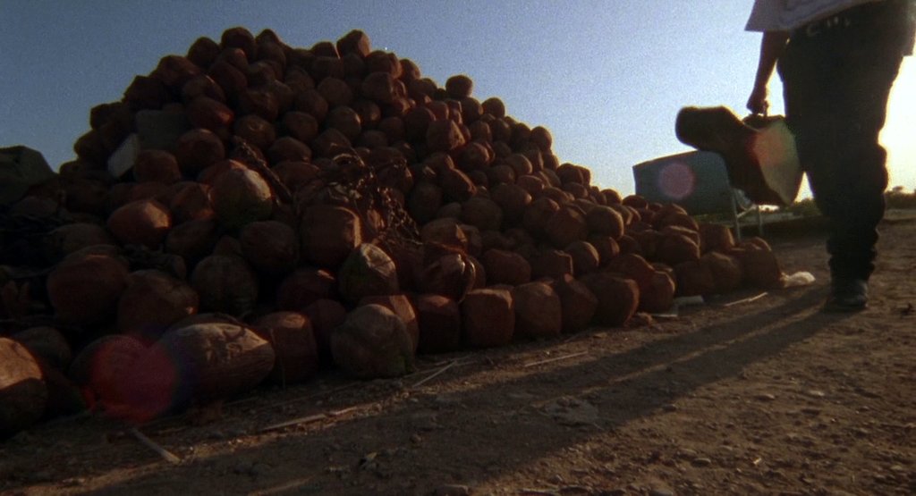 Photo from the movie El mariachi [1992]