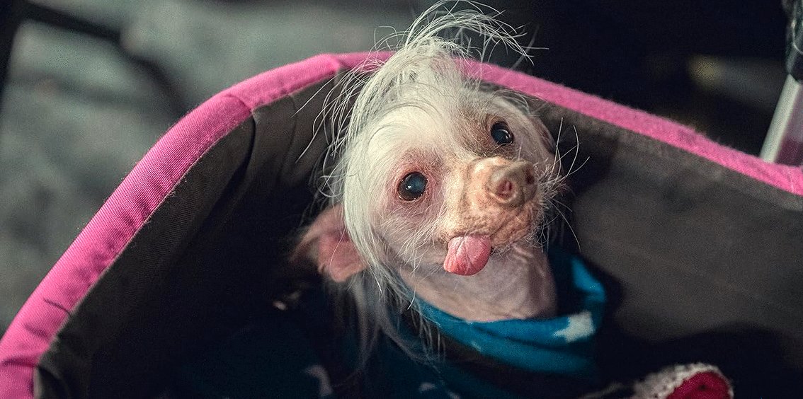 Photo from the movie Too Much [2025]