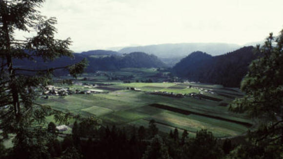 Photo from the movie Batalla en el cielo [2005]