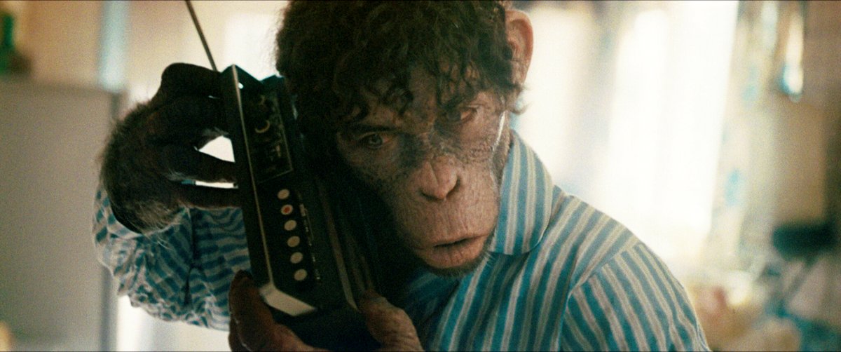 Photo du film Better Man