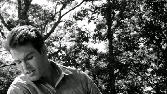 Photo du film Lilith [1964]