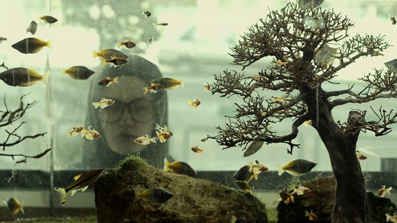 Photo du film Paradise [2015]