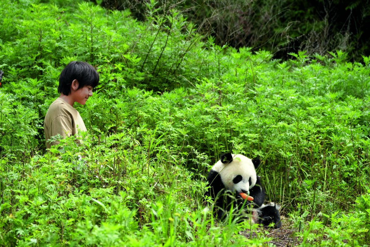 Photo from the movie Moon the Panda [2025]