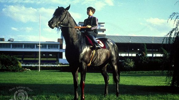 Photo from the movie L'étalon noir