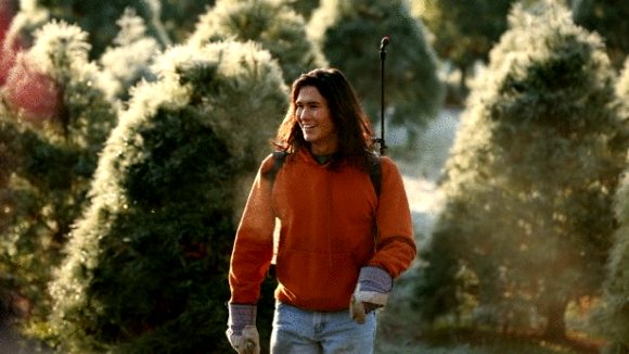 Photo du film An Evergreen Christmas