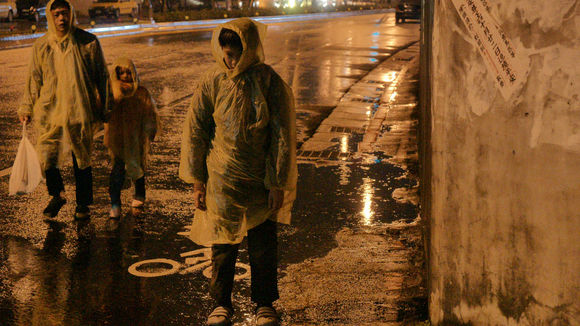 Photo du film Stray Dogs [2013]