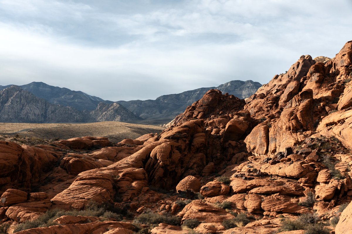 Photo from the movie Inner Walls