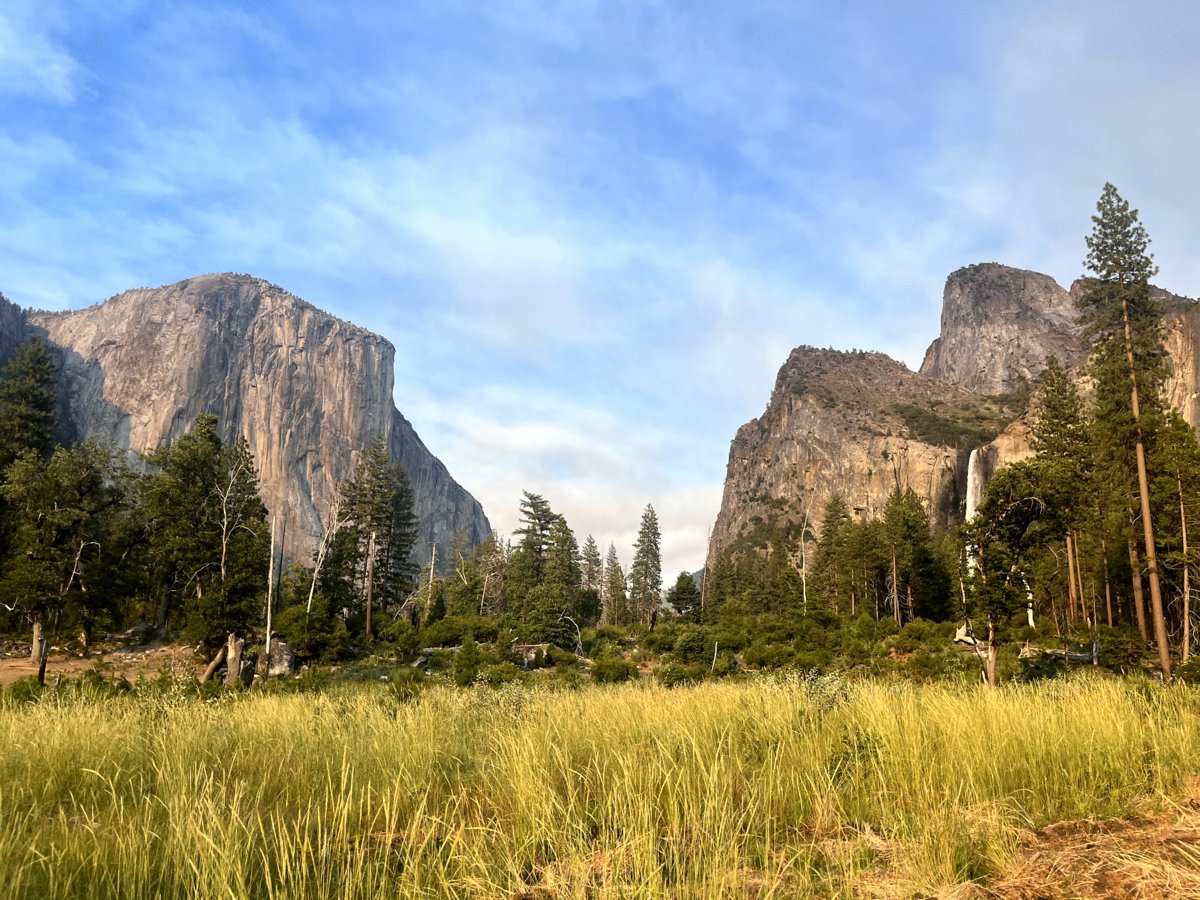 Photo from the movie Inner Walls