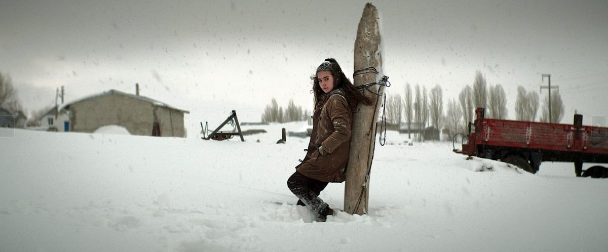 Photo from the movie About Dry Grasses [2023]