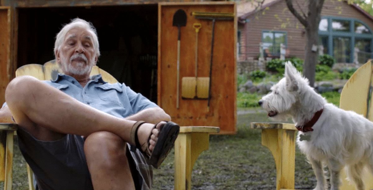 Photo du film Angry Neighbors