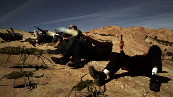 Photo du film Camel Spiders