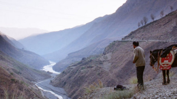 Photo from the movie Courthouse on Horseback [2006]