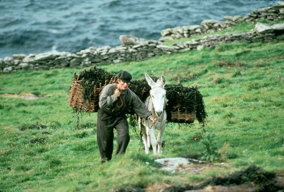 Photo from the movie Far and Away